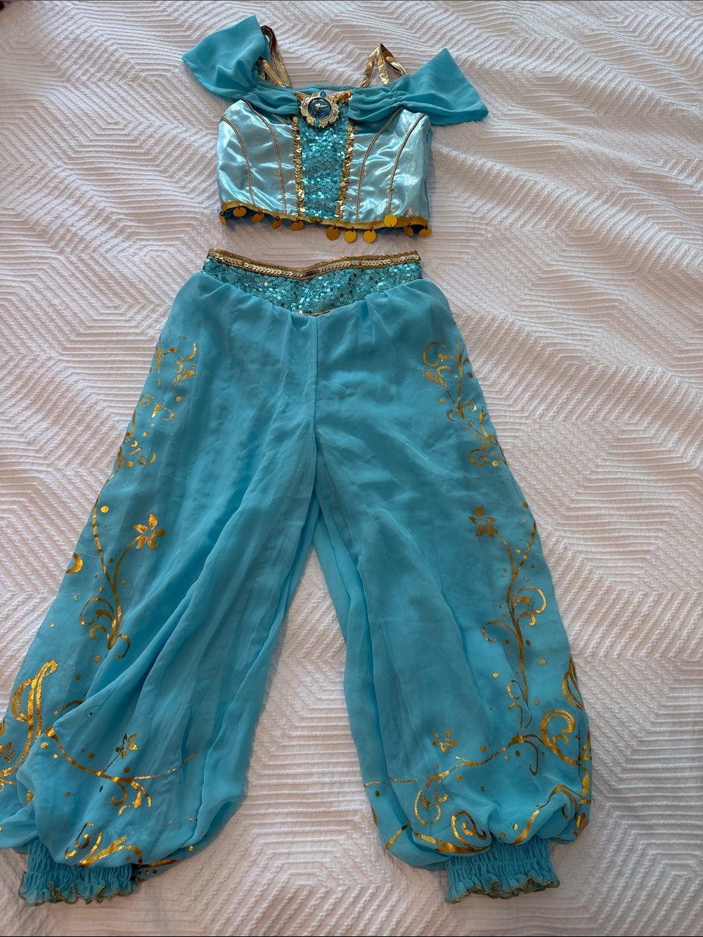 Disney Jasmine Costume